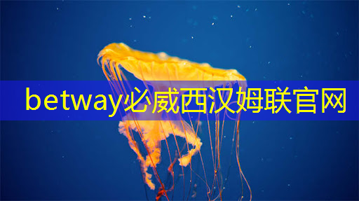 國內高端模擬芯片廠商艾創微授權世強硬創代理,構建互聯網生態 國內高端模擬芯片廠商艾創微授權世強硬創代理,構建互聯網生態